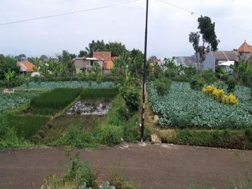 TANAH KAVLING SHM SIAP BANGUN DI GEGERKALONG BANDUNG
