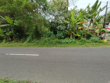 Tanah Jl Kaliurang Km 9, Tepi Jalan Raya: SHM