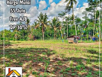 Info Tanah Murah Siap Bangun Lokasi di Desa Palaan Kec. Ngajum