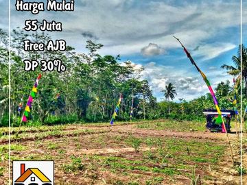 Info Tanah Murah Siap Bangun Lokasi di Desa Palaan Kec. Ngajum