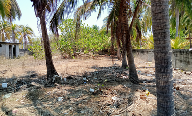 Terreno de playa junto al mar en Barra Vieja de Acapulco