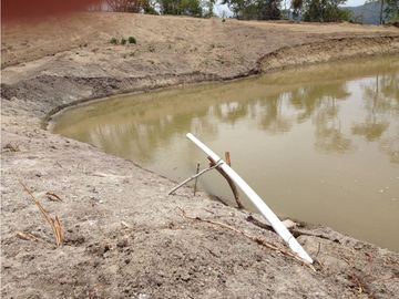 Finca en venta en el Tolima