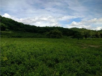 Finca en venta en el Tolima