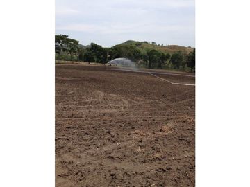 Finca en venta en el Tolima