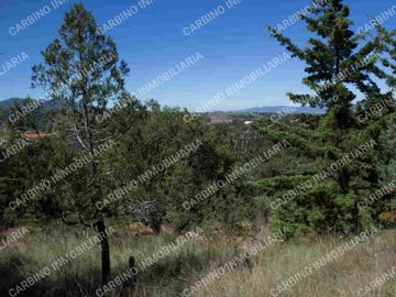 Terreno Rustico 5,506 Mt2 en Tlalpujahua, Mich.