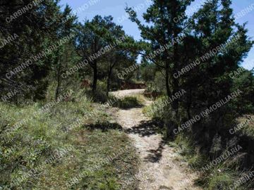 Terreno Rustico 5,506 Mt2 en Tlalpujahua, Mich.
