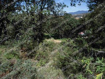 Terreno Rustico 5,506 Mt2 en Tlalpujahua, Mich.