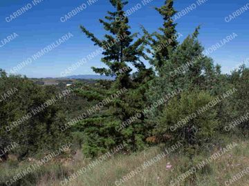 Terreno Rustico 5,506 Mt2 en Tlalpujahua, Mich.