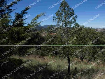 Terreno Rustico 5,506 Mt2 en Tlalpujahua, Mich.