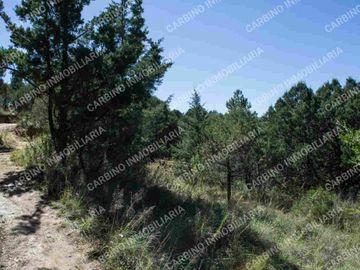 Terreno Rustico 5,506 Mt2 en Tlalpujahua, Mich.