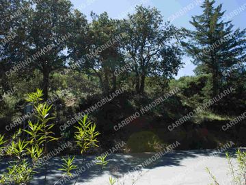 Terreno Rustico 5,506 Mt2 en Tlalpujahua, Mich.