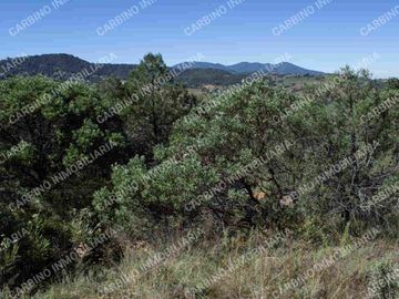 Terreno Rustico 5,506 Mt2 en Tlalpujahua, Mich.