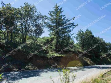 Terreno Rustico 5,506 Mt2 en Tlalpujahua, Mich.
