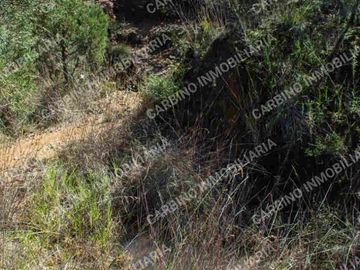 Terreno Rustico 5,506 Mt2 en Tlalpujahua, Mich.