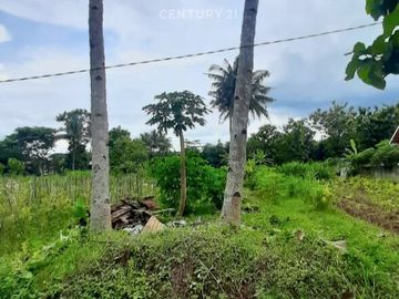 Tanah Sawah 464m2 Di Seyegan Dekat Pemda Sleman Untuk Hunian