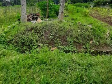 Tanah Sawah 464m2 Di Seyegan Dekat Pemda Sleman Untuk Hunian
