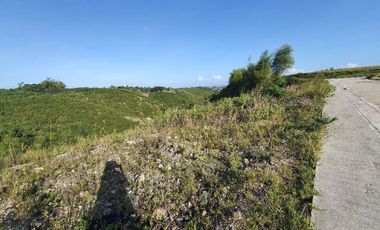OVERLOOKING 224 SQM Lot for Sale in VISTA VERDE CONSOLACION CEBU with Scenic City Views