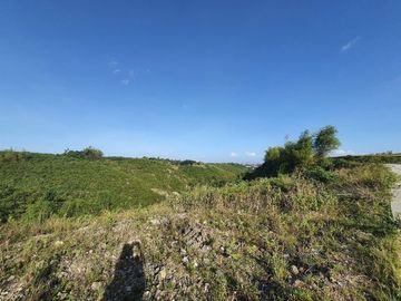 OVERLOOKING 224 SQM Lot for Sale in VISTA VERDE CONSOLACION CEBU with Scenic City Views
