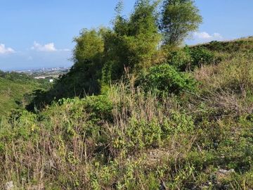 OVERLOOKING 224 SQM Lot for Sale in VISTA VERDE CONSOLACION CEBU with Scenic City Views