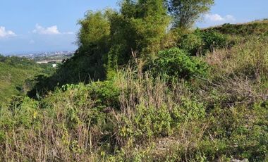 OVERLOOKING 224 SQM Lot for Sale in VISTA VERDE CONSOLACION CEBU with Scenic City Views