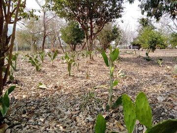 RANCHO EN SAN LUIS POTOSI
