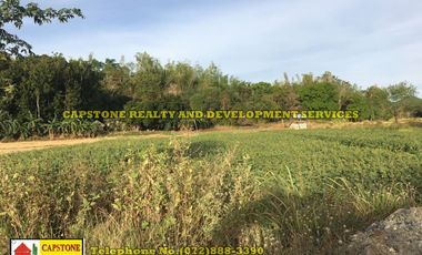 Titled Agricultural Lot in Ilocos Norte