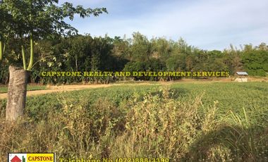 Titled Agricultural Lot in Ilocos Norte