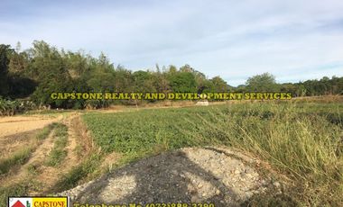 Titled Agricultural Lot in Ilocos Norte