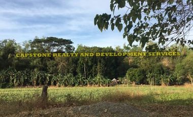 Titled Agricultural Lot in Ilocos Norte