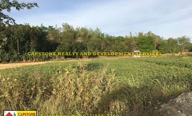 Titled Agricultural Lot in Ilocos Norte