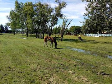 Chacra en venta en Florencio Varela Oeste