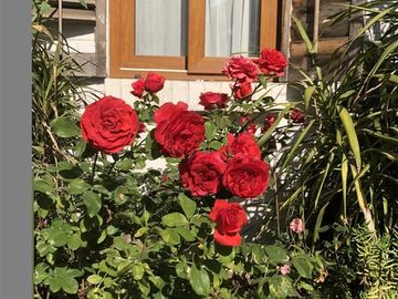 Oportunidad en La Dehesa: casa con amplio jardín