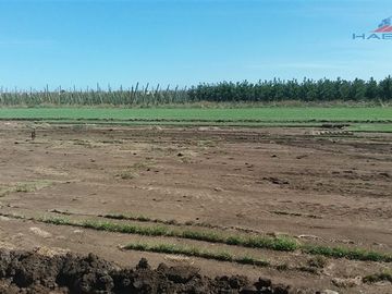 Industrial en Venta en Ruta 5 sur cruce Morza