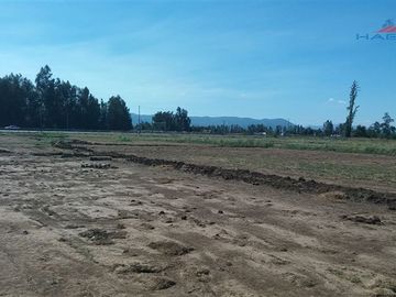 Industrial en Venta en Ruta 5 sur cruce Morza