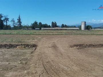 Industrial en Venta en Ruta 5 sur cruce Morza