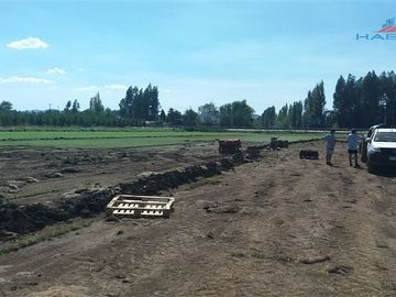Industrial en Venta en Ruta 5 sur cruce Morza