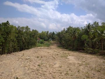 Area Kampus II UIN, Pekarangan SHM, Cocok Bangun Kos