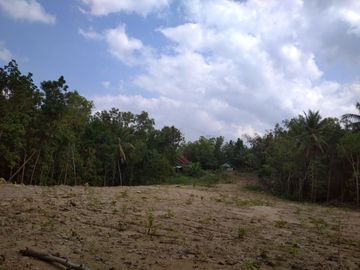 Area Kampus II UIN, Pekarangan SHM, Cocok Bangun Kos