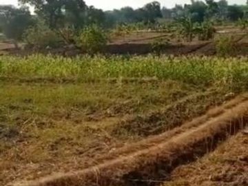 DIJUAL TANAH KEPUHKLAGEN WRINGINANOM GRESIK