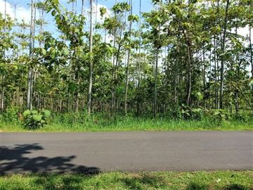 Tanah Strategis 1397m&sup2; Tepi Jl Raya Kerjo Karanganyar