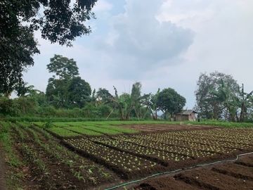 Tanah Kavling pinggir Jalan dekat Kantor KBB