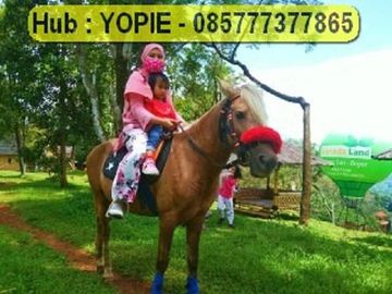 Dijual kavling murah di kawasan wisata dekat puncak 2