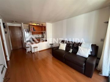 Departamento en venta de 1 dorm. en Santiago