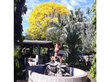 VENDO CASA CON PISCINA Y 9750M2 CON ARBOLES