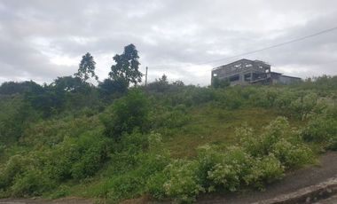 CORNER LOT 290 Sqm for Sale in Greenwoods near Talamban Cebu City with Mountain View