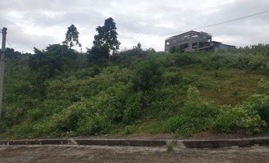 CORNER LOT 290 Sqm for Sale in Greenwoods near Talamban Cebu City with Mountain View