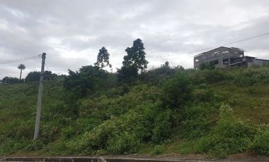 CORNER LOT 290 Sqm for Sale in Greenwoods near Talamban Cebu City with Mountain View