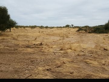 VENDO PARCELA 5.000 MTS2 EN REGIÓN MAULE - COMUNA EL RETIRO