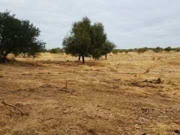 VENDO PARCELA 5.000 MTS2 EN REGIÓN MAULE - COMUNA EL RETIRO