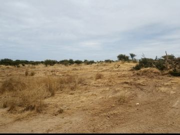 VENDO PARCELA 5.000 MTS2 EN REGIÓN MAULE - COMUNA EL RETIRO